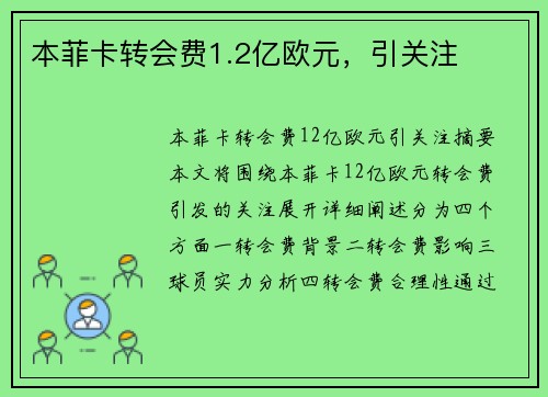 本菲卡转会费1.2亿欧元，引关注